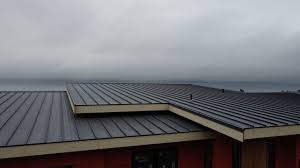 Sheet Metal Roofing in Los Ranchos, CA